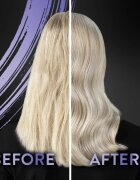 Syoss Intense Blonde fialový šampon pro blond a šedivé vlasy 440 ml