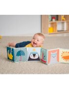 Taf Toys Book North Pole kontrastní edukativní knížka pro miminka 1 ks