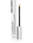 Talika Eyebrow Liposourcils Expert stimulující sérum pro růst obočí 10 ml