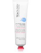 Teaology Hyaluronic Hydra Face Mask hloubkově hydratační maska s kyselinou hyaluronovou 100 ml