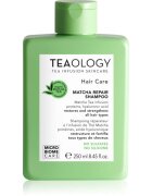 Teaology Matcha Tea Repair Shampoo šampon pro posílení vlasů 250 ml