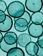 Tiffany & Co. parfémovaná voda pro ženy 30 ml
