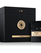 Tiziana Terenzi Burdèl parfémový extrakt unisex 100 ml