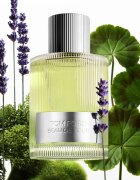 TOM FORD Beau de Jour parfémovaná voda pro muže 100 ml