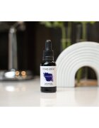 Tomas Arsov Sapphire Toning Drops vlasová péče pro zesvětlené melírované studené blond vlasy 30 ml