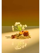 Tree Hut Shea Sugar Scrub Santal Haze cukrový tělový peeling 510 g