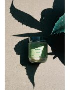 Tropicandle Green Tea vonná svíčka 170 ml