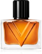 Valentino Vendetta Uomo parfémovaná voda pro muže 30 ml