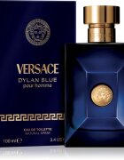 Versace Dylan Blue Pour Homme toaletní voda pro muže 100 ml