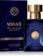 Versace Dylan Blue Pour Homme toaletní voda pro muže 30 ml