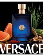 Versace Dylan Blue Pour Homme toaletní voda pro muže 30 ml
