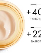 Vichy Neovadiol Compensating Complex vyhlazující a zpevňující denní krém pro suchou pleť 50 ml