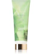 Victoria's Secret Beneath The Palms tělové mléko pro ženy 236 ml