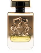 Victory Gold parfémovaná voda unisex 100 ml