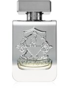 Victory Silver parfémovaná voda unisex 100 ml
