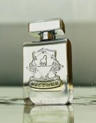 Victory Silver parfémovaná voda unisex 100 ml