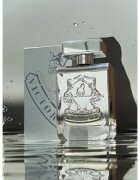 Victory Silver parfémovaná voda unisex 100 ml