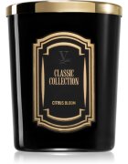 Vila Hermanos Classic Collection Citrus Blossom vonná svíčka 75 g