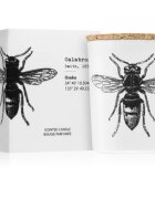 Vila Hermanos Insect Calabrone vonná svíčka 75 g