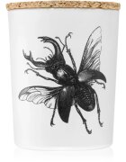 Vila Hermanos Insect Lucanus Cervus vonná svíčka 75 g