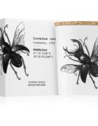 Vila Hermanos Insect Lucanus Cervus vonná svíčka 75 g
