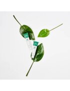 VT Cosmetics Cica Cream hydratační pleťový krém se zklidňujícím účinkem 50 ml