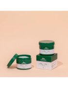 VT Cosmetics Cica Mild Toner Pad peelingové pleťové tamponky se zklidňujícím účinkem 60 ks