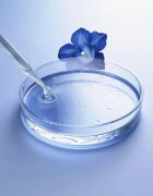 Weleda Exo Boost omlazující pleťové sérum 30 ml