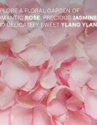 Weleda Love podmanivý sprchový gel Rose Jasmine and Ylang-Ylang 200 ml