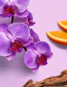 Weleda Mystic Aura parfémovaný sprej na tělo a vlasy pro ženy 95 ml