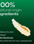 Weleda Skin Food výživný balzám na rty 4.8 g