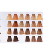 Wella Professionals Color Touch Deep Browns barva na vlasy odstín 5/75 60 ml