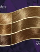 Wella ton Intense permanentní barva na vlasy s arganovým olejem odstín 8/1 Light Ash Blonde 1 ks