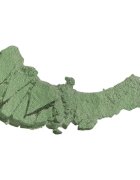 Wet n Wild Color Icon oční stíny odstín Envy 1.7 g