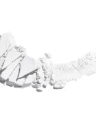 Wet n Wild Color Icon oční stíny odstín Sugar 1.7 g
