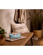 Woodwick Cedarwood & Ocean Moss vonná svíčka s dřevěným knotem 453.6 g