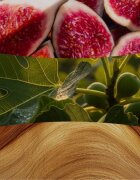 Woodwick Verdant Fig vonná svíčka s dřevěným knotem 610 g