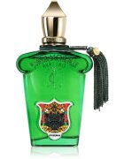 Xerjoff Casamorati 1888 Fiero parfémovaná voda pro muže 100 ml