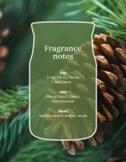 Yankee Candle Balsam & Cedar Fireside votivní svíčka 37 g