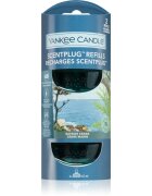 Yankee Candle Bayside Cedar náhradní náplň do elektrického difuzéru 2x18.5 ml