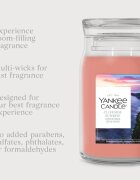 Yankee Candle Cliffside Sunrise vonná svíčka 368 g