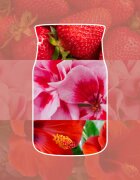 Yankee Candle Cliffside Sunrise vonná svíčka Signature 110 g