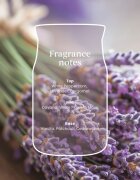 Yankee Candle Dried Lavender & Oak vonná svíčka 368 g