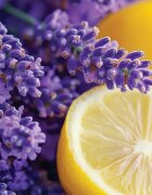 Yankee Candle Lemon Lavender vonná svíčka Signature 110 g