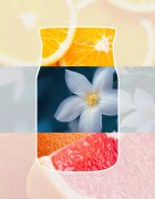 Yankee Candle Midnight Jasmine vonná svíčka Signature 110 g