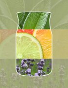Yankee Candle Sage & Citrus vonná svíčka Signature 110 g