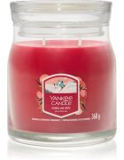Yankee Candle Santa On Skis vonná svíčka 368 g