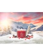 Yankee Candle Santa On Skis vonná svíčka Signature 122 g