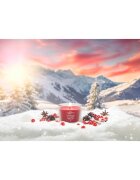 Yankee Candle Santa On Skis votivní svíčka glass 37 g