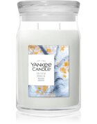 Yankee Candle Silver Birch vonná svíčka 567 g